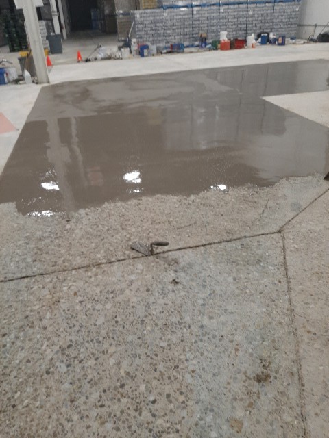 Gallery image 6