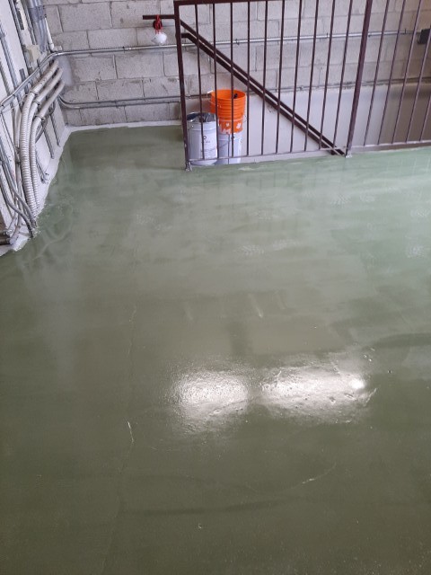 Gallery image 5