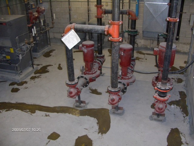 Gallery image 11