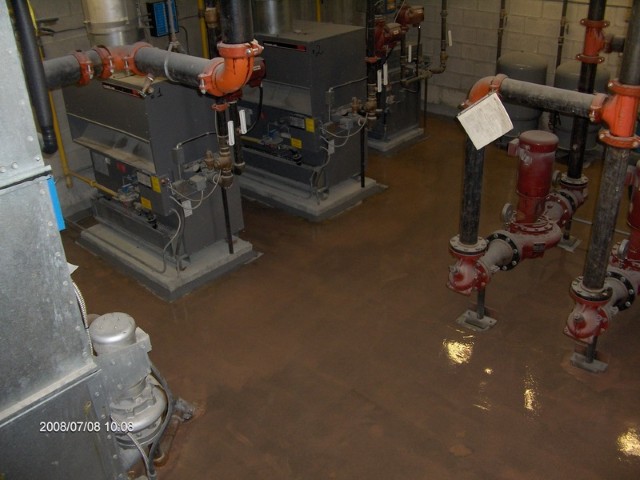 Gallery image 13